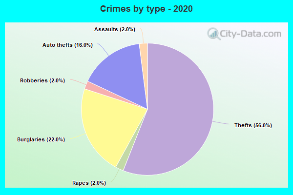 Crimes by type - 2020