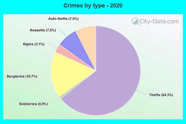 Crimes by type - 2020