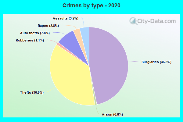 Crimes by type - 2020