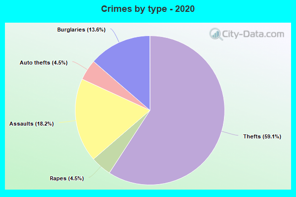 Crimes by type - 2020