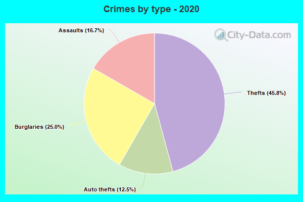 Crimes by type - 2020