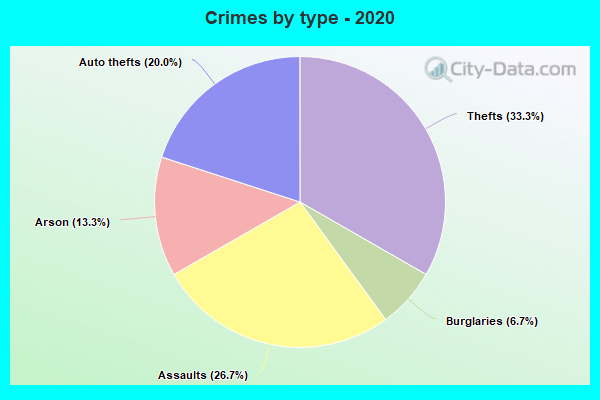 Crimes by type - 2020