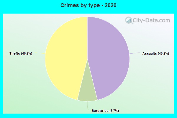 Crimes by type - 2020