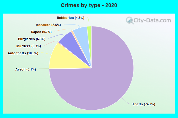 Crimes by type - 2020