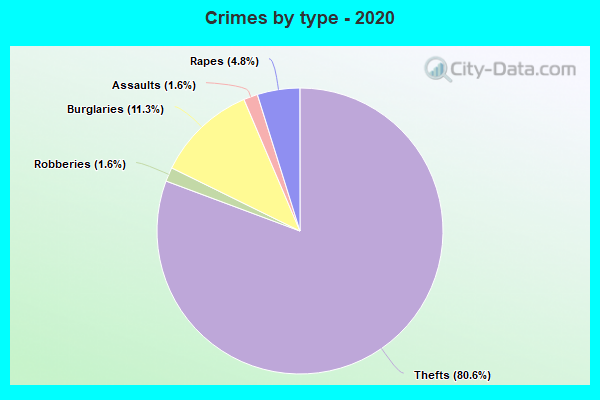 Crimes by type - 2020