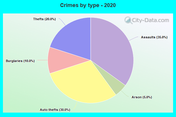 Crimes by type - 2020