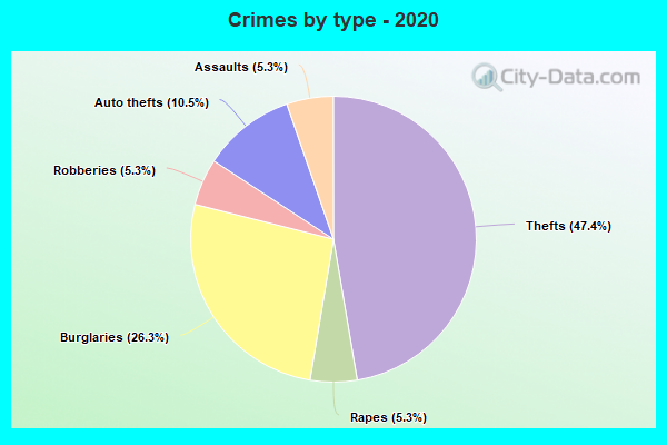 Crimes by type - 2020