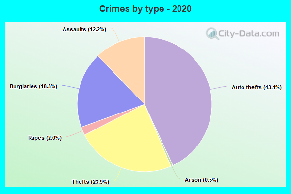 Crimes by type - 2020