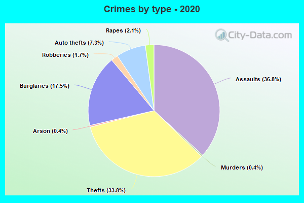 Crimes by type - 2020