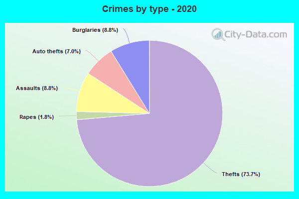 Crimes by type - 2020