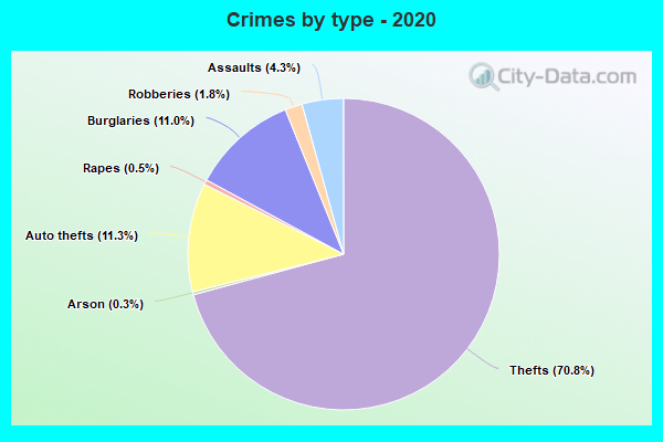 Crimes by type - 2020