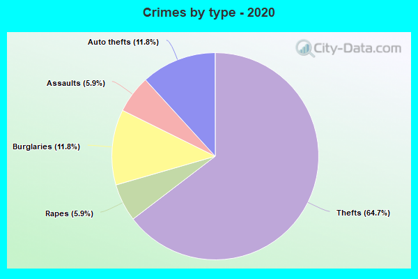 Crimes by type - 2020