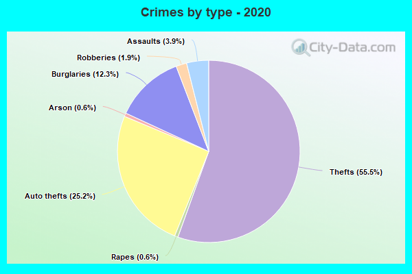 Crimes by type - 2020