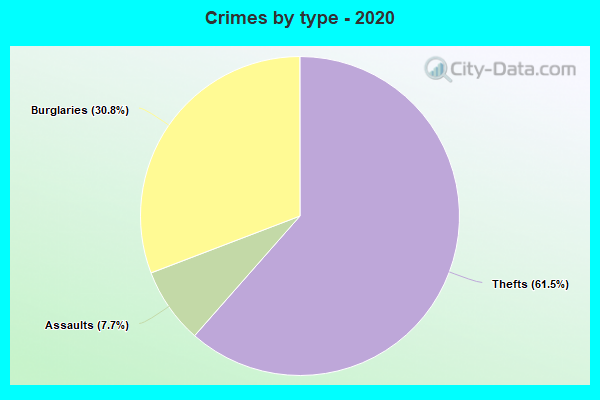 Crimes by type - 2020