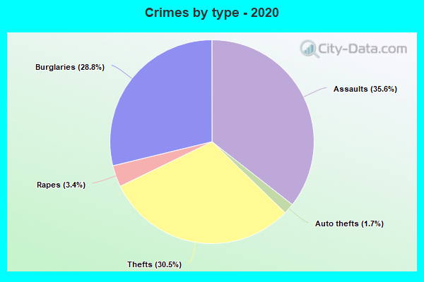 Crimes by type - 2020