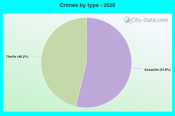 Crimes by type - 2020