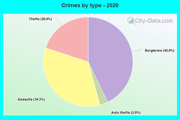 Crimes by type - 2020