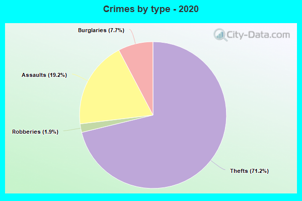 Crimes by type - 2020