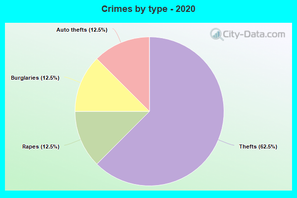 Crimes by type - 2020