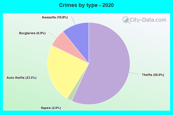 Crimes by type - 2020