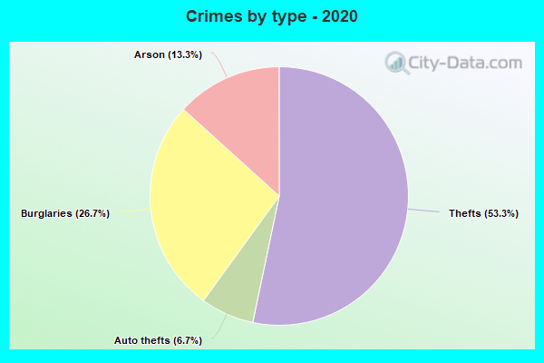 Crimes by type - 2020