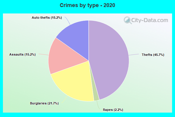 Crimes by type - 2020