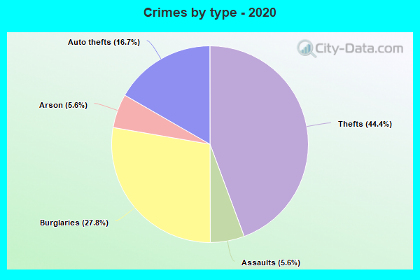 Crimes by type - 2020