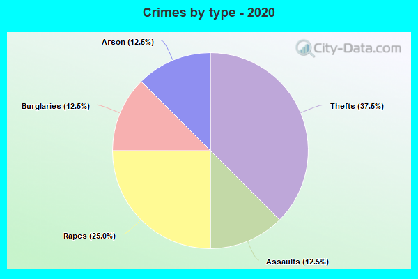 Crimes by type - 2020