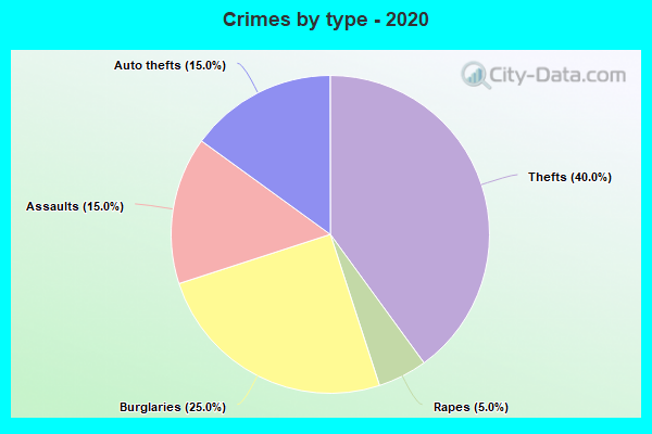 Crimes by type - 2020