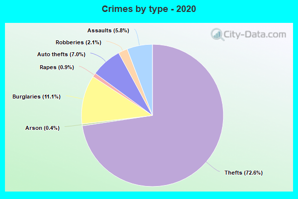 Crimes by type - 2020