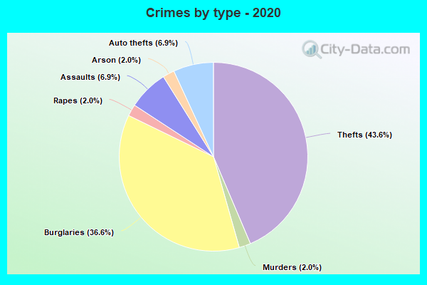 Crimes by type - 2020