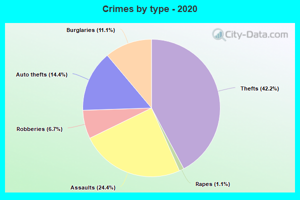 Crimes by type - 2020