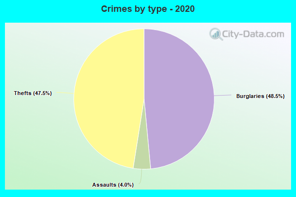 Crimes by type - 2020