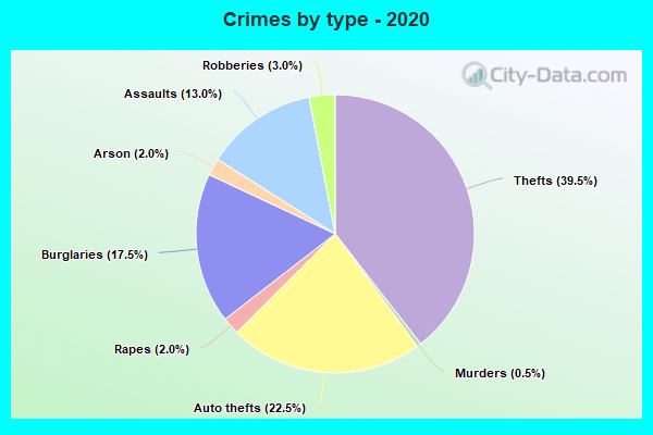 Crimes by type - 2020