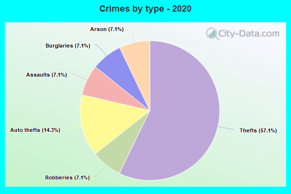 Crimes by type - 2020