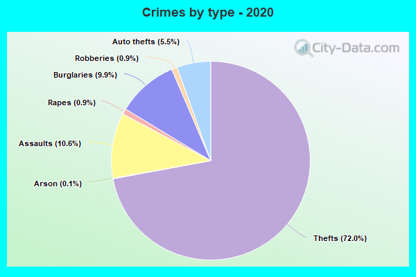 Crimes by type - 2020