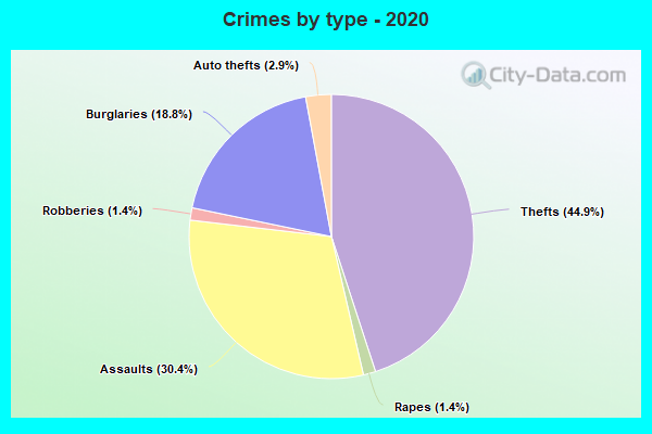 Crimes by type - 2020