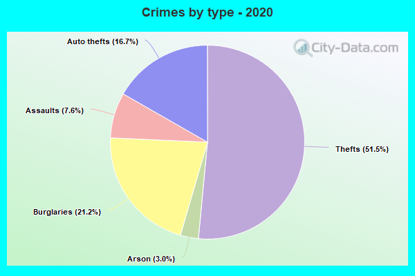 Crimes by type - 2020