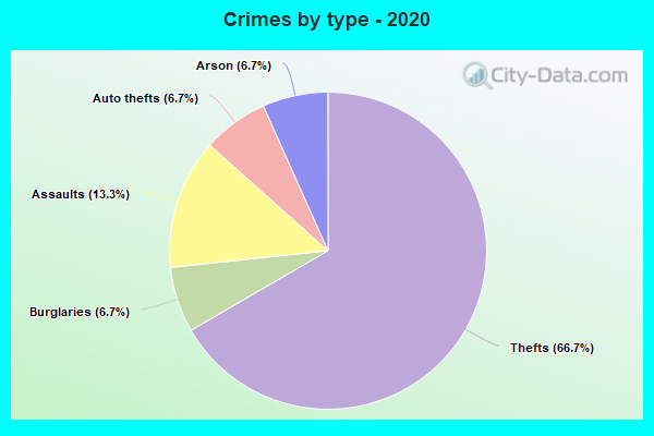 Crimes by type - 2020