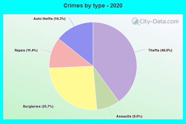 Crimes by type - 2020