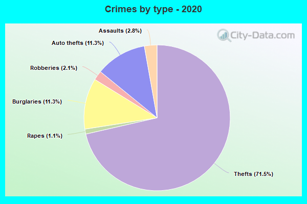 Crimes by type - 2020