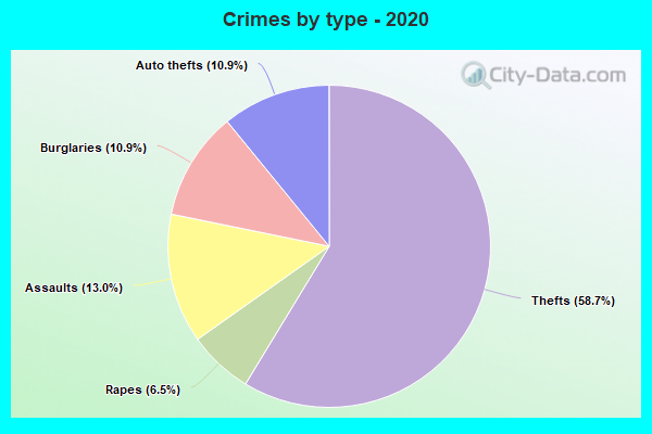 Crimes by type - 2020