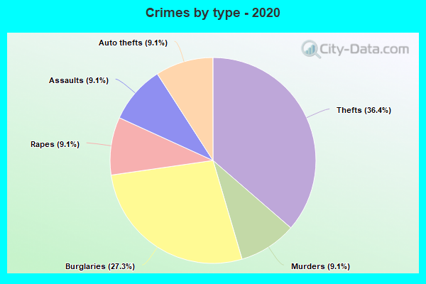 Crimes by type - 2020