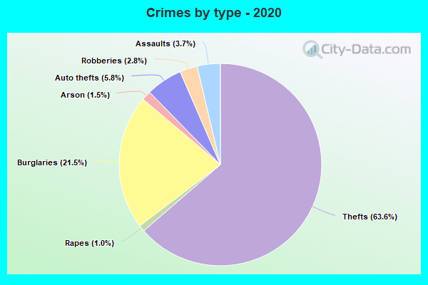 Crimes by type - 2020