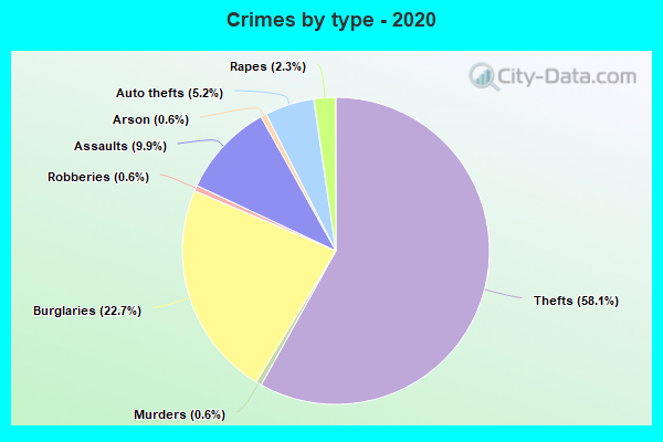 Crimes by type - 2020