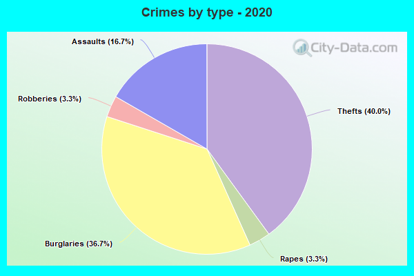 Crimes by type - 2020