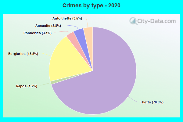 Crimes by type - 2020