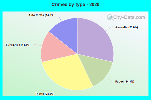 Crimes by type - 2020