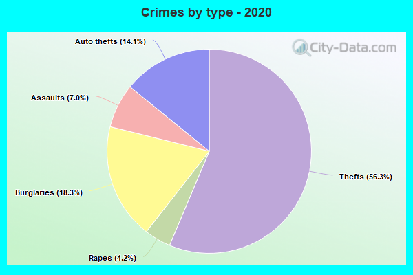 Crimes by type - 2020