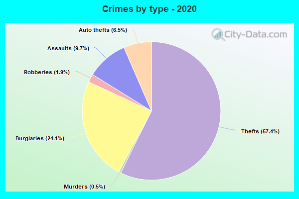 Crimes by type - 2020